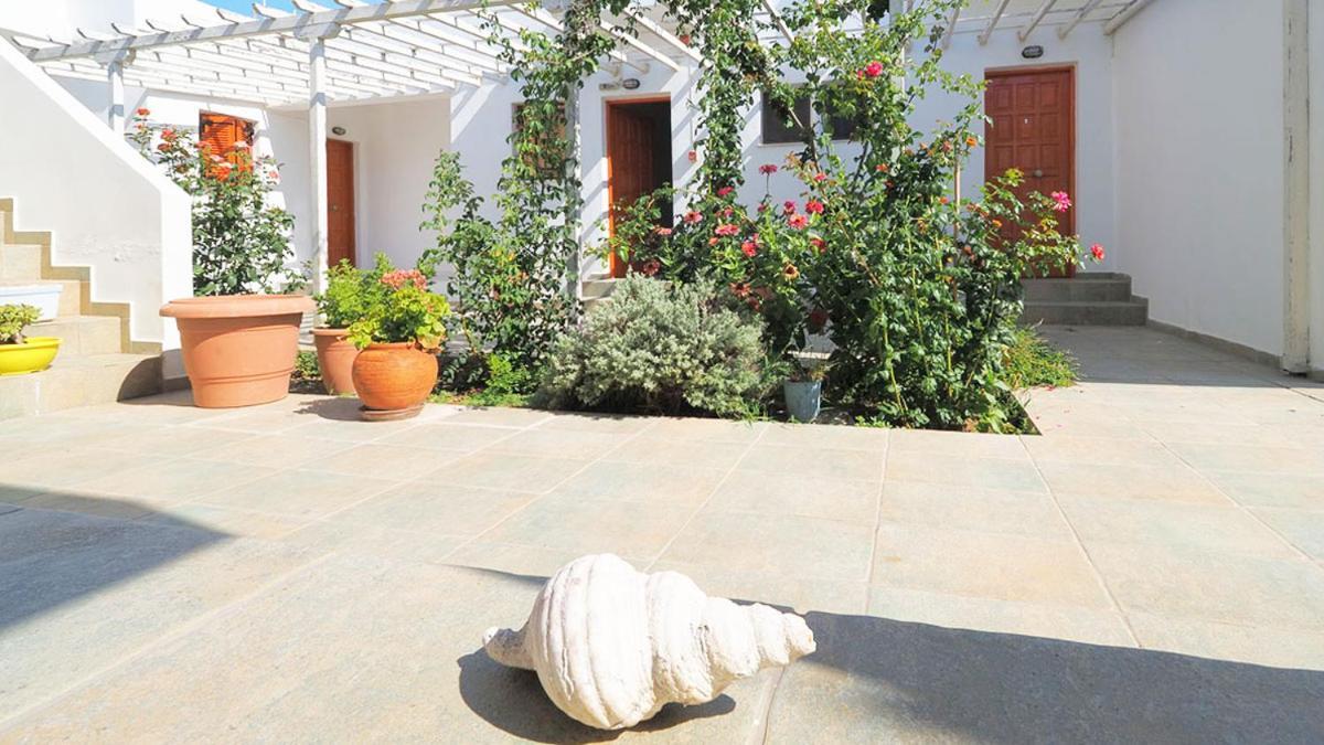 Ενοικιαζόμενα Διαμερίσματα Άρτεμις スキロス エクステリア 写真